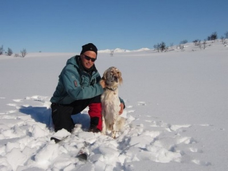Bilde av Vi trener din hund for deg!